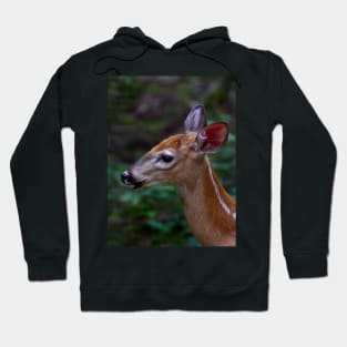 Fawn - White-tailed Deer Hoodie